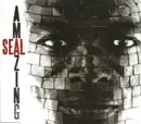 CD Single - Seal - Amazing