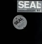 12inch Vinyl Single - Seal - Love's Divine
