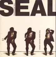 Seal - The Beginning (The Mark Moore Remix)