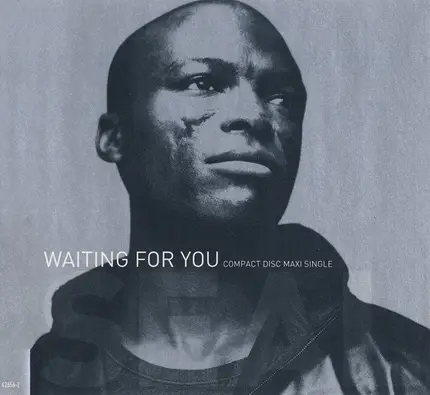 Seal - Waiting For You