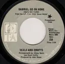 7inch Vinyl Single - Seals & Crofts - Gabriel Go On Home / Robin