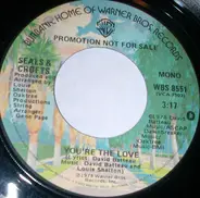 Seals & Crofts - You're The Love