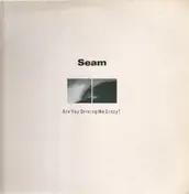Seam - Are You Driving Me Crazy?