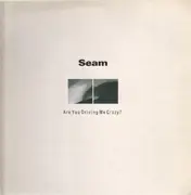 LP - Seam - Are You Driving Me Crazy?