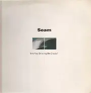 Seam - Are You Driving Me Crazy?