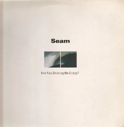 Seam - Are You Driving Me Crazy?