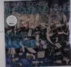 LP - Seamus Fogarty - Curious Hand -Coloured- - IRISH ALT-FOLK AND ELECTRONICA ALCHEMIST