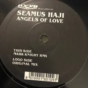 seamus haji - Angels Of Love