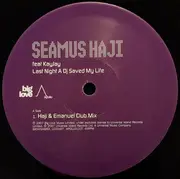 12inch Vinyl Single - Seamus Haji Feat KayJay - Last Night A DJ Saved My Life