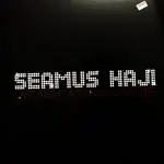 seamus haji - Last Night A DJ Saved My Life