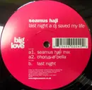 12inch Vinyl Single - Seamus Haji - Last Night A DJ Saved My Life