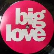 12inch Vinyl Single - Seamus Haji - Last Night A DJ Saved My Life