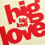 12'' - Seamus Haji - Last Night A DJ Saved My Life (ATFC Remixes)