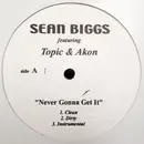 12inch Vinyl Single - Sean Biggs - Never Gonna Get It / How It Goes