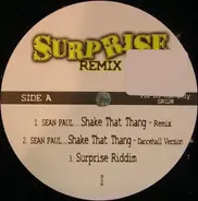 Sean Paul & Assassin - Surprise Remix