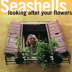 Seashells - Looking After Your Flowers
