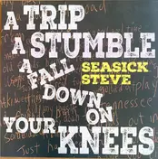 Seasick Steve - A Trip A Stumble A Fall Down On Your Knees