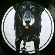 LP - Seasick Steve - You Can't Teach An Old Dog New Tricks