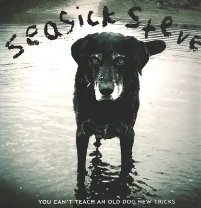 Seasick Steve - You Can't Teach an Old Dog New Tricks