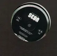 Seba - Don't Wanna Lose You