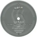 12inch Vinyl Single - Seba - Metropolaris / A Wonderful World