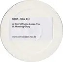 12inch Vinyl Single - Seba - Don't Wanna Lose You