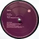 12inch Vinyl Single - Seba - Forever / Your Deepest Love