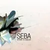 CD - SEBA - Return To Forever