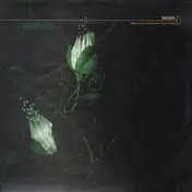 Seba - Valley of the Moomins / Car crash