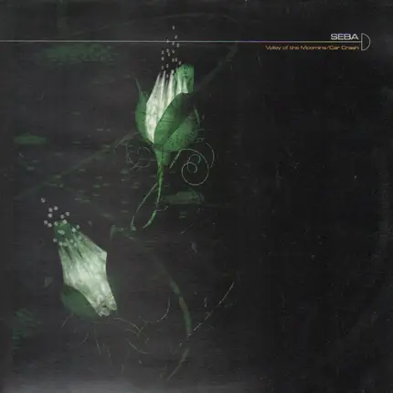 Seba - Valley of the Moomins / Car crash