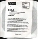 12inch Vinyl Single - Seba - Neophunk - White label promo