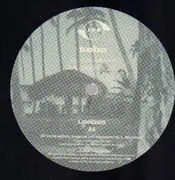 12inch Vinyl Single - Seba - Waveform/Soul 2000