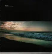 12inch Vinyl Single - Seba - Waveform/Soul 2000