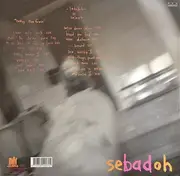 LP - Sebadoh - Rocking The Forest / Sebadoh Vs. Helmet