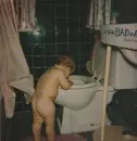 LP - Sebadoh - Bakesale