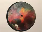 12inch Vinyl Single - Sebastian Mullaert - Direct Experience