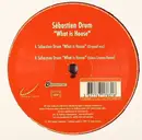 12inch Vinyl Single - Sebastien Drums - What Is House
