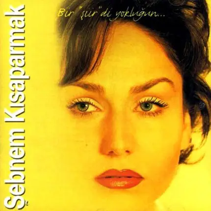 Şebnem Kısaparmak - Bir "Şiir"di Yokluğun