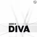 SEBO K - Diva