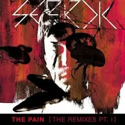 Sebrok - The Pain Rmxs