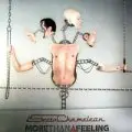 secta chameleon - More Than A Feeling / For The Kids