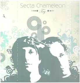 secta chameleon - Try