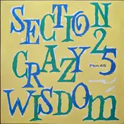 Section 25 - Crazy Wisdom