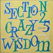 12inch Vinyl Single - Section 25 - Crazy Wisdom