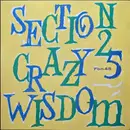 12inch Vinyl Single - Section 25 - Crazy Wisdom