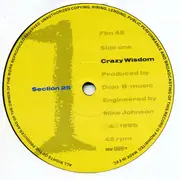 12inch Vinyl Single - Section 25 - Crazy Wisdom