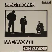 Section 5 - We Wont Change