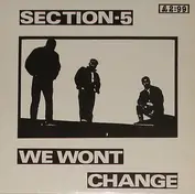 Section 5