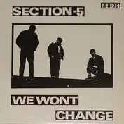 Section 5