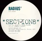 Section-8